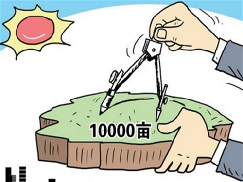 土地.jpg