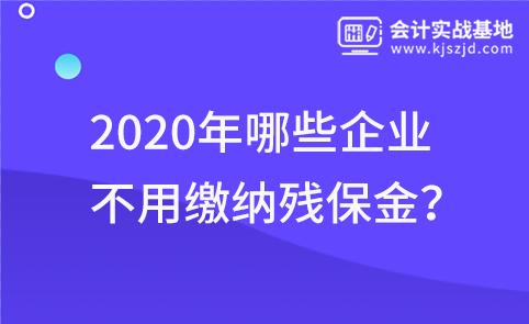 2020年哪些企业不用缴纳残保金？