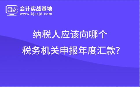 纳税人应该向哪个税务机关申报年度汇款?