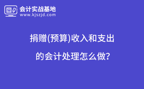 捐赠(预算)收入和支出的会计处理怎么做？
