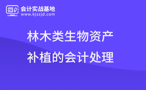 林木类生物资产补植的会计处理