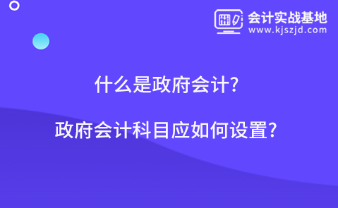​什么是政府会计?政府会计科目应如何设置?