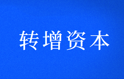 发生债务转增资本应该怎么做会计处理？