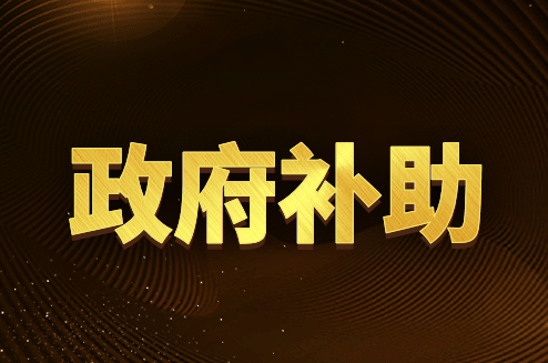 政府补助退回的会计处理怎么做？