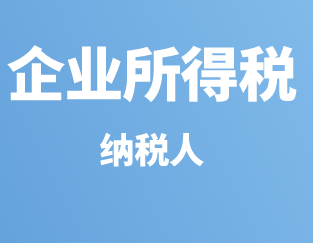 企业所得税之纳税人