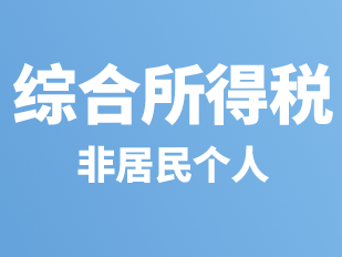 个人所得税之综合所得税（非居民个人）