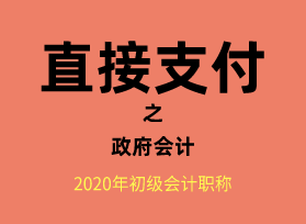 政府会计下财政直接支付方式账务处理