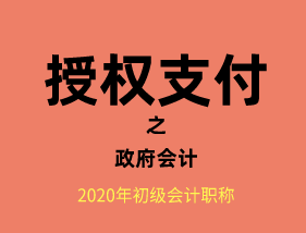 政府会计下财政授权支付方式账务处理