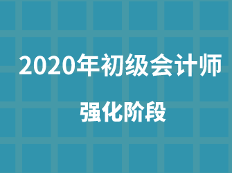 强化阶段初级会计师应当怎么备考？